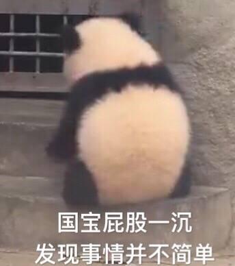 十四人的群名怎么起 v2-a4804ef18737f8787fdaa7a13a8980df_b.jpg