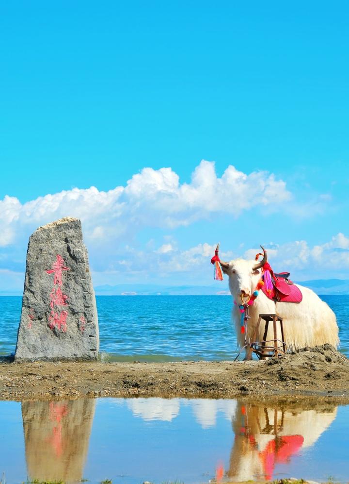 西北有哪些不可错过的旅游美景? 14 v2 a48d8c8d560a852b2e4bdc2f09335f8a 720w