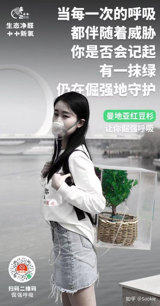 在筹备了两年之后,问苗农业科技公司适时推出了"生态