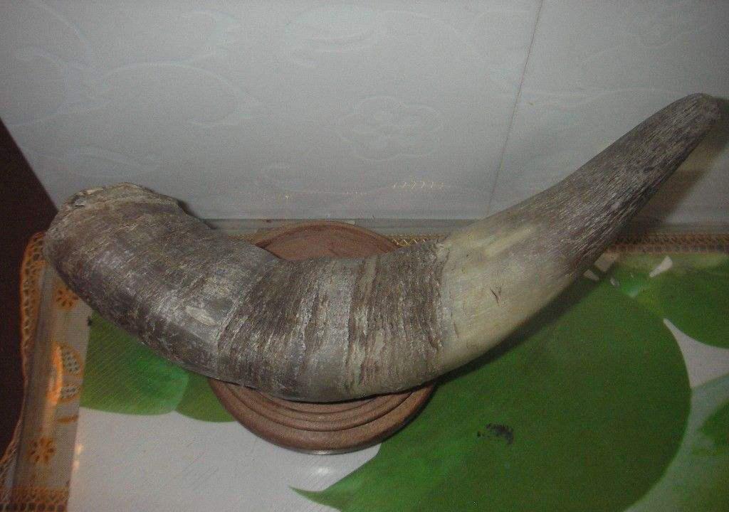 会挽雕弓如满月宋代的弓