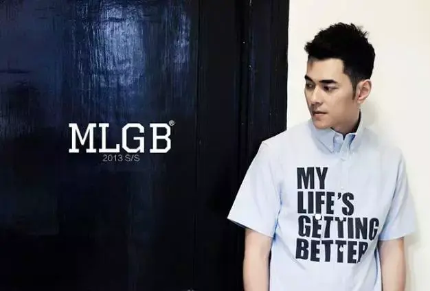 李晨公司mlgb商标能注册下来吗