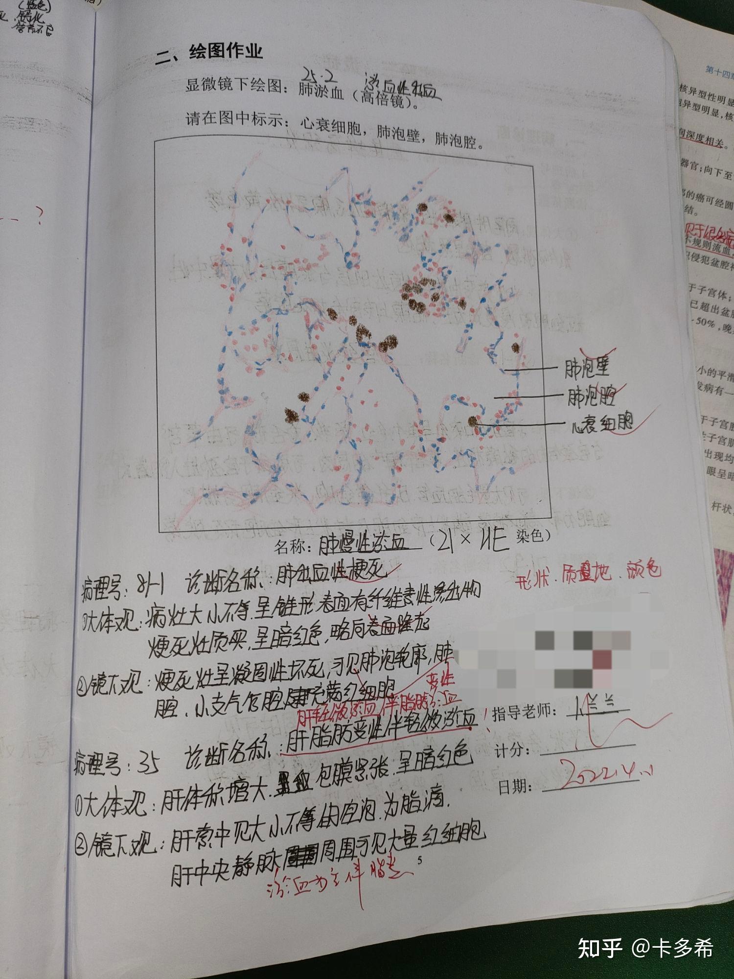 病理学实验报告来了