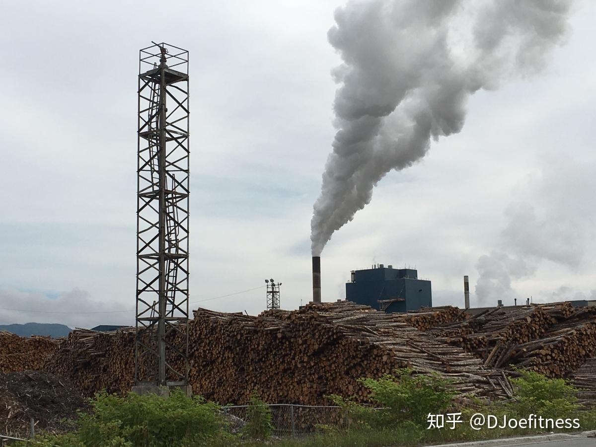 来自汽车尾气,建筑灰尘,工厂烟雾和臭氧的日常污染不仅会损害你的肺