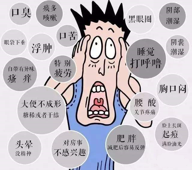 10 人 赞同了该文章 脾虚的人:一定是瘦子 脾湿的人:一定是胖子 脾虚