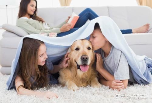 养什么省事又挣钱 养什么省事又挣钱快