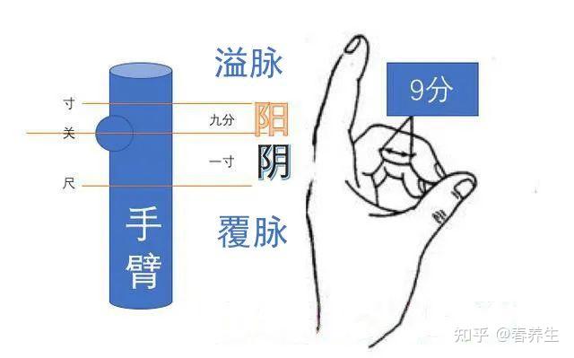 010倪海厦人纪系列黄帝内经篇