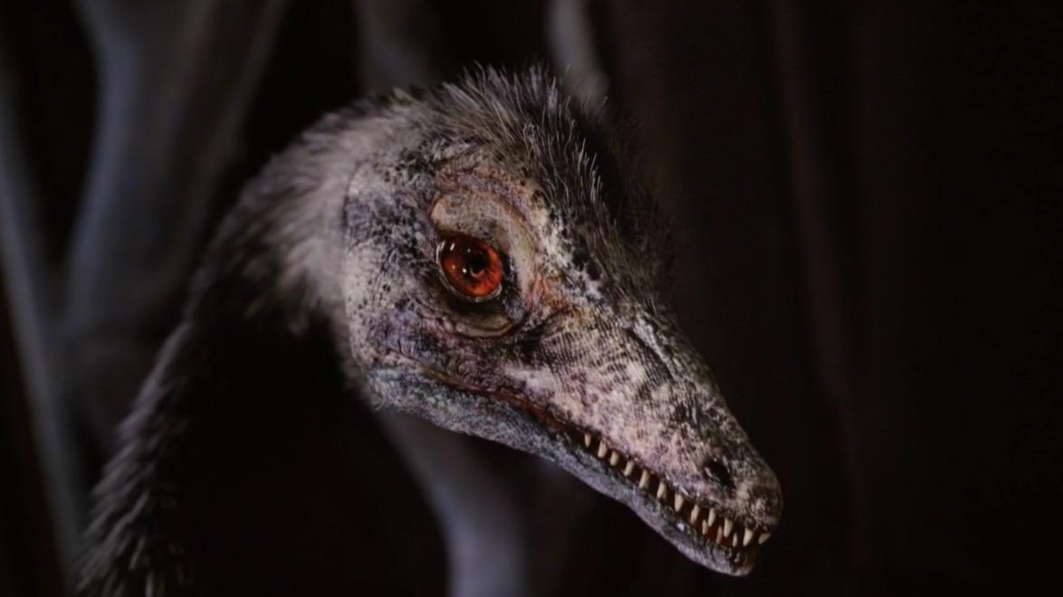 始祖鸟化石引发的新进化论的轰动性见解恐爪龙的化石证明了这一观点