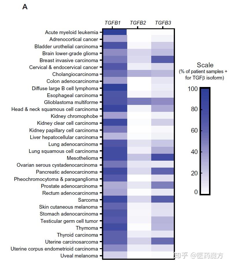 cancer genome atlas)的mrna表達數據發現,tgfβ1是在多種類型人類腫