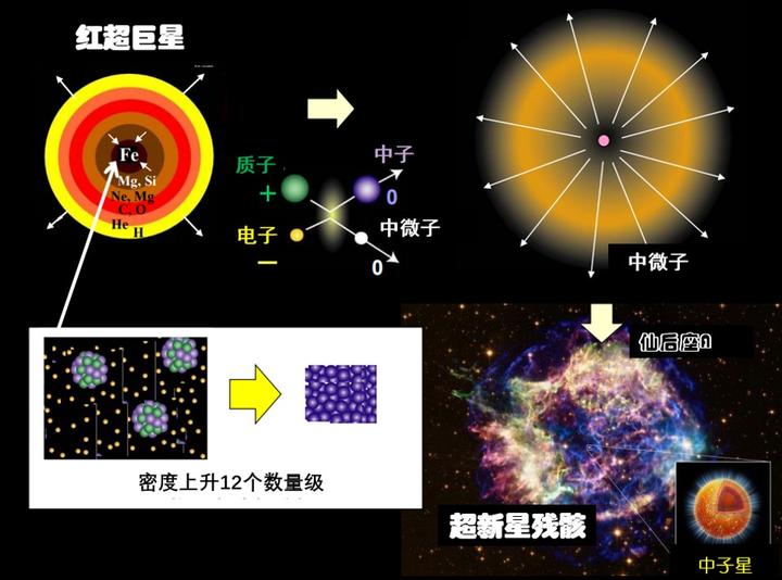 中子星的形成過程