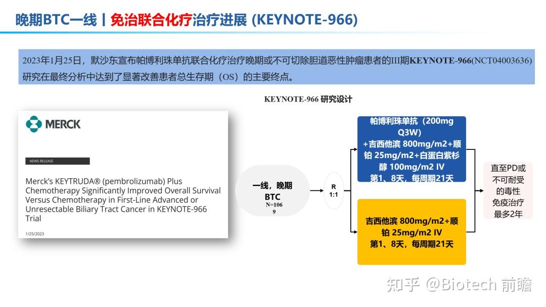 吉西他滨+顺铂图片