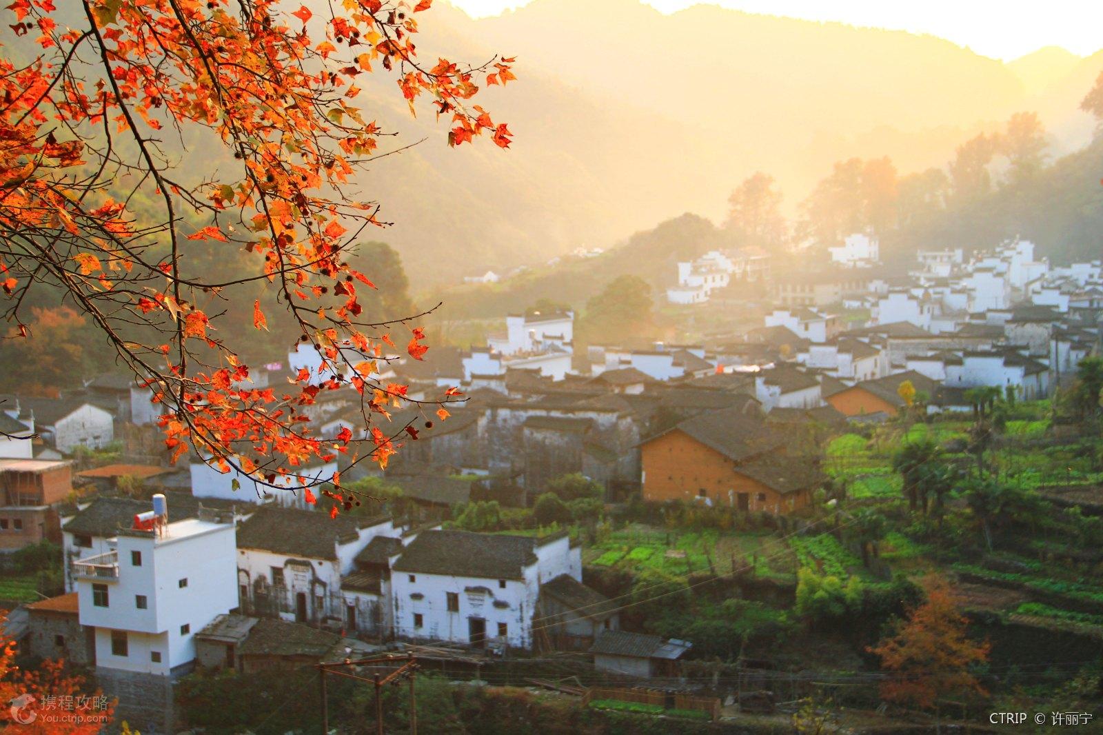 11月2527日落地自驾景德镇婺源赏秋之旅