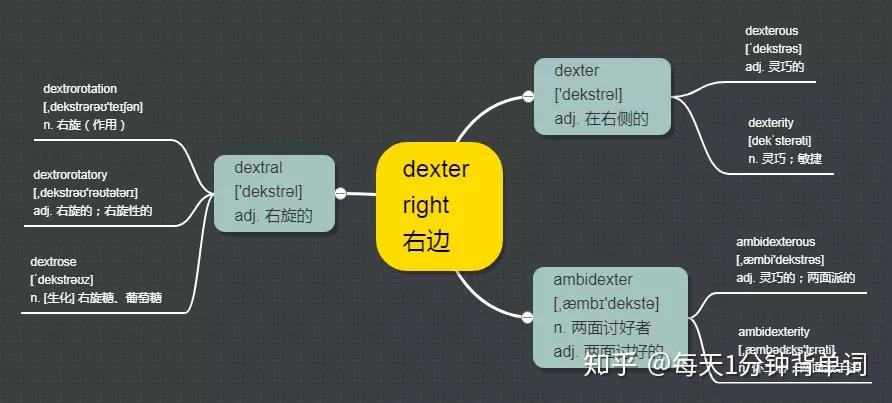 每天1分钟背单词词根dexter