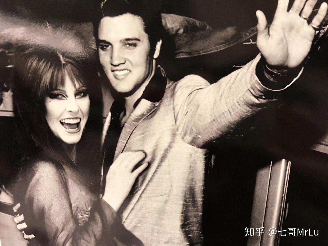 ab片女王你肯定知道不少cult片暗黑女王elvira你又知道吗