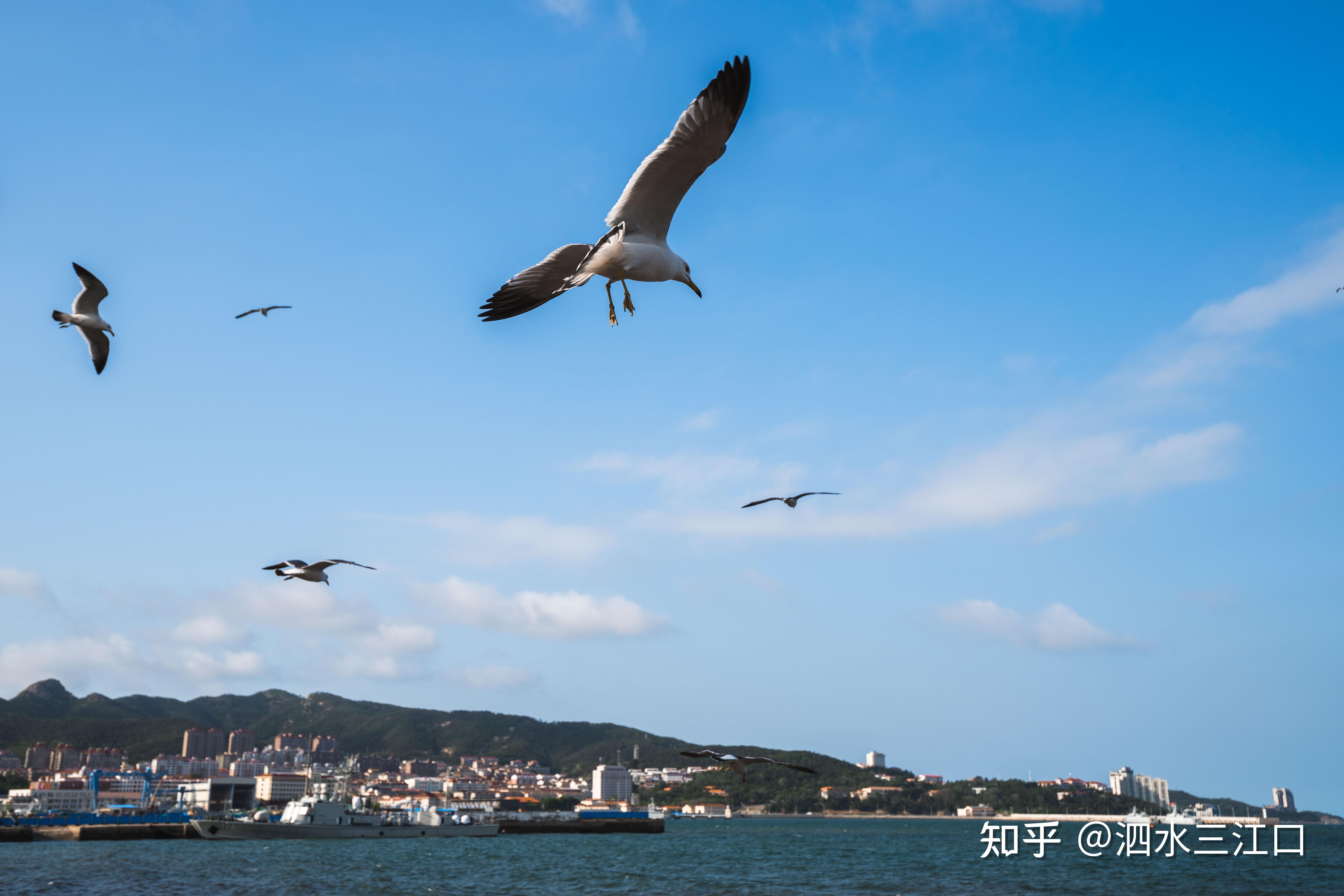 TAMRON收購鏡頭