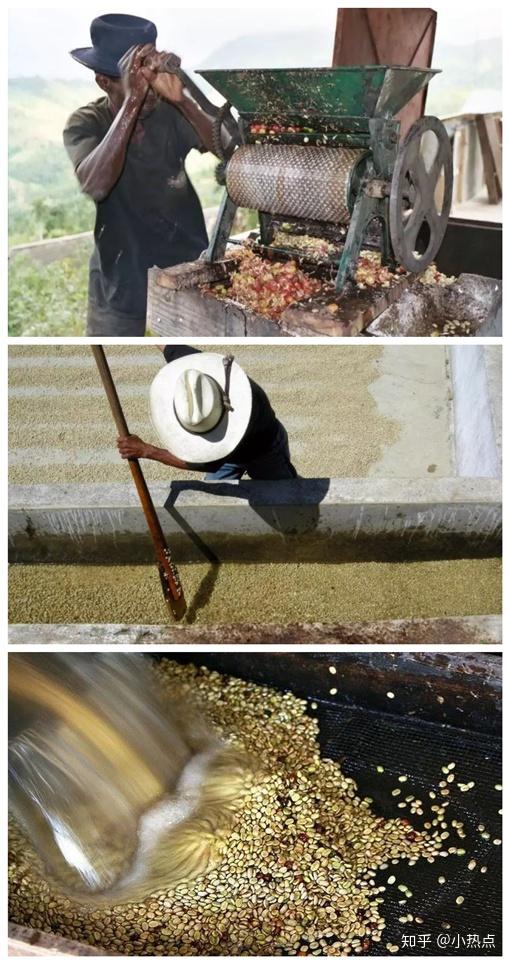 究竟是如何制作成品咖啡豆呢?