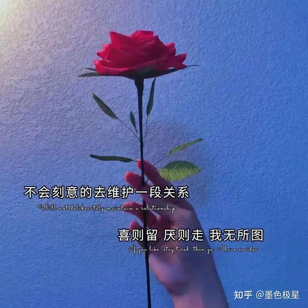 当一个人不联系你,也不拉黑你时,彼此默默关心和祝福就够了.