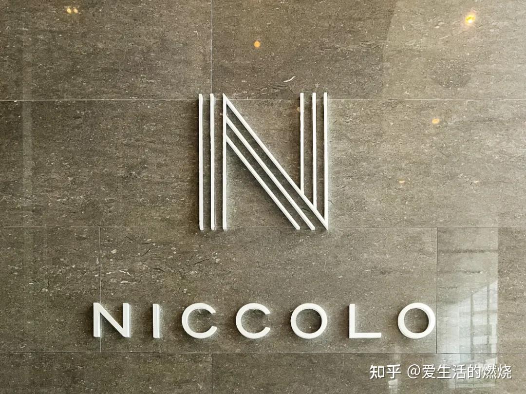 尼依格罗酒店logo图片