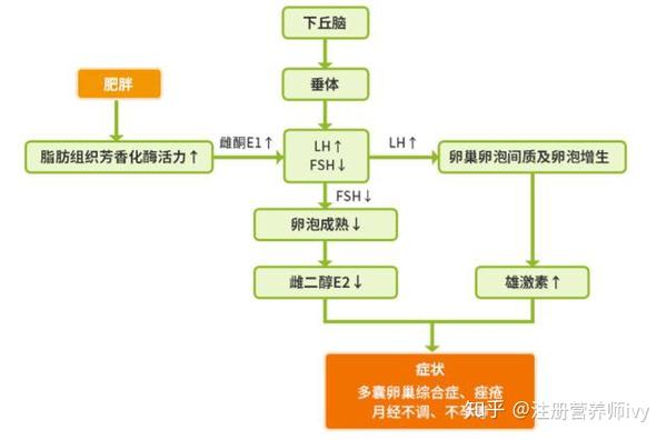 胰岛素抵抗与多囊卵巢图片