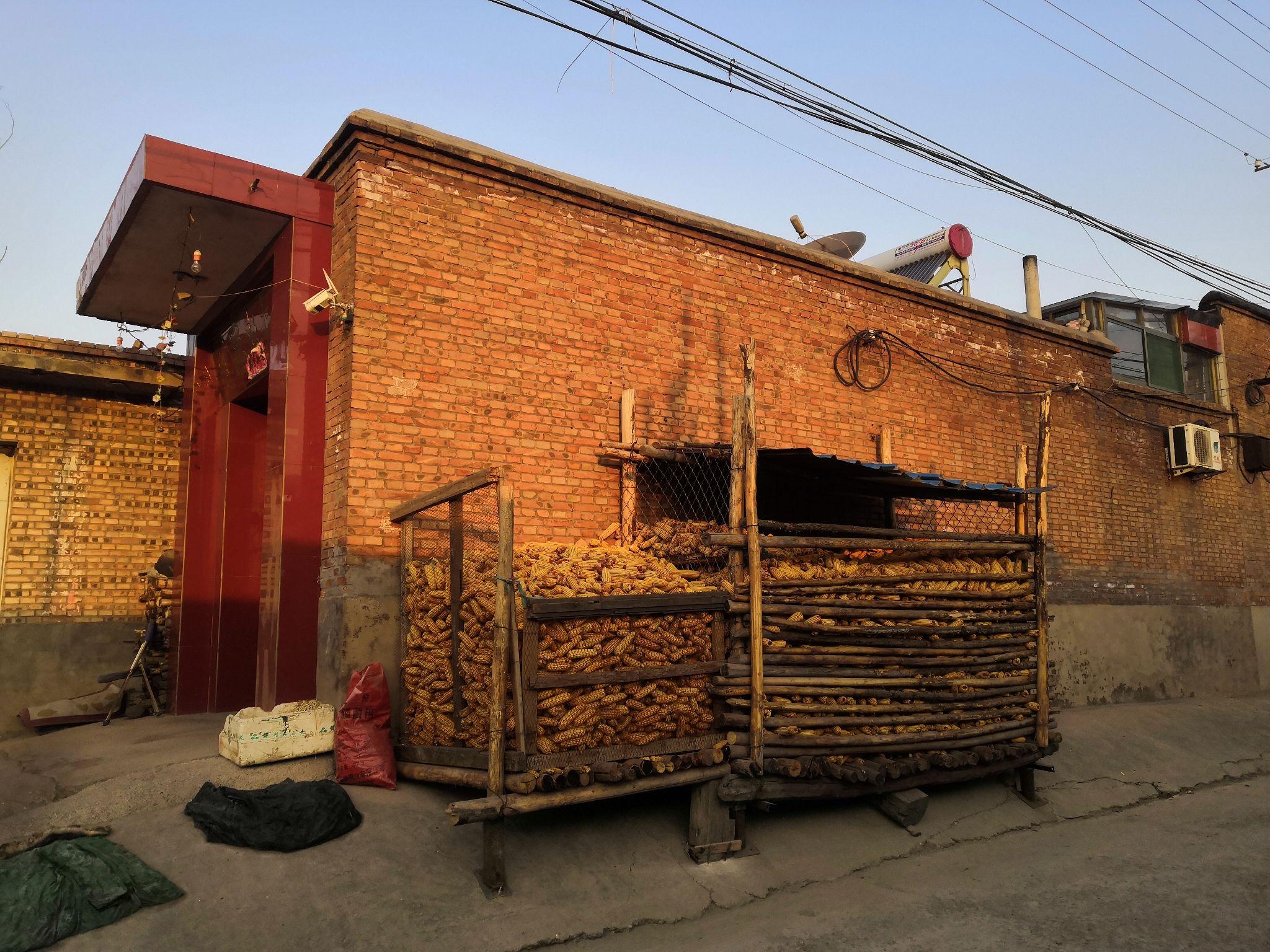 祁县农村玉米笼组图合集大全越失败越有趣