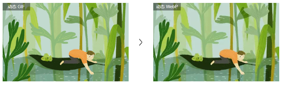 求WebP动态图制作工具？ - 知乎