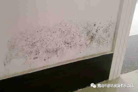 潮湿的环境，会对人体带来什么危害？ - 知乎
