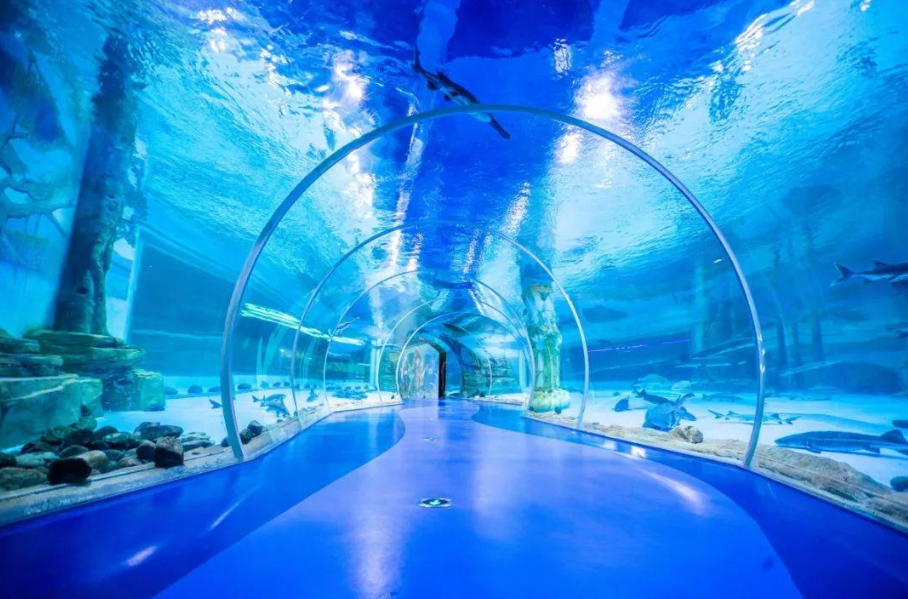 文旅篇丨亚克力水下隧道带你饱览水底世界