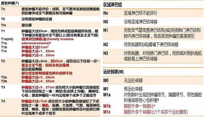 肺癌tnm分期第9版图解图片