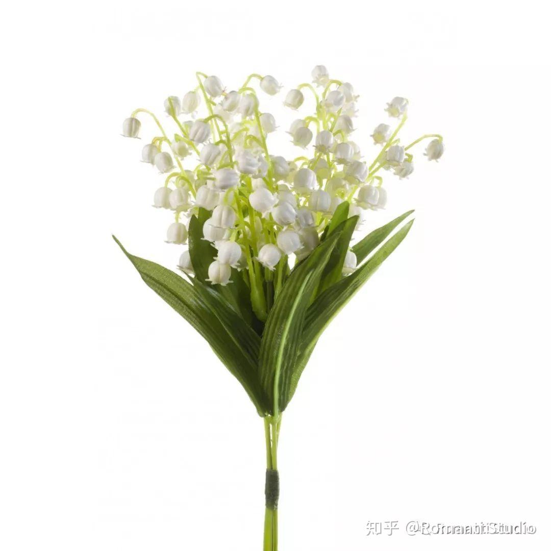 lily of the valley除了常見的白花外,鈴蘭變種有大花鈴蘭及紅花鈴蘭.