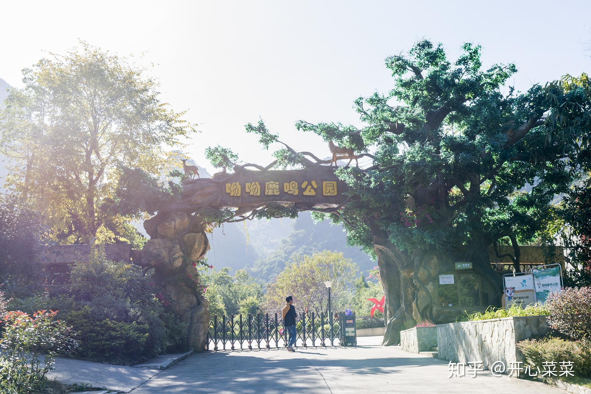 广西鹿寨不仅有鹿，还是《西游记》蜘蛛精洗澡取景地，被称最香艳 - 知乎