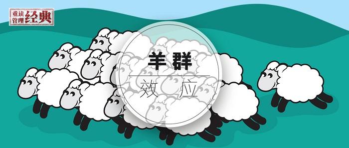有趣的羊群效应 跟风者 画像 知乎 有趣的羊群效应 跟风者 画像 知乎