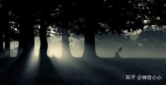 梦境的深意，梦见过世的亲人给我钱——探寻心灵的慰藉与未来的启示