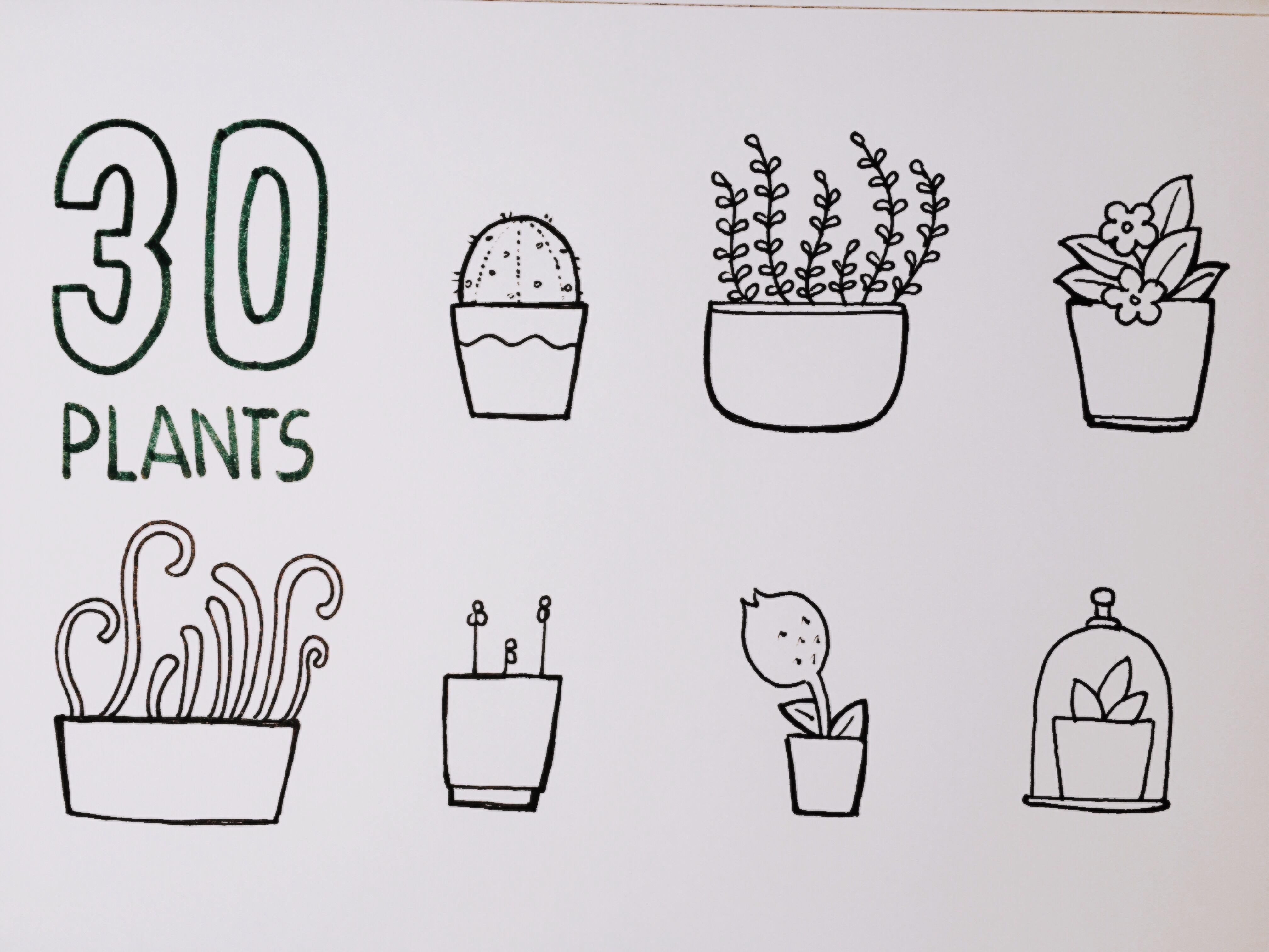 简笔画植物 - 高清图片，堆糖，美图壁纸兴趣社区