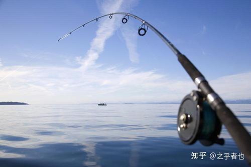 怎么挑选鱼杆 v2-a5c1b34ad8bb554798db906135a9cb8b_r.jpg