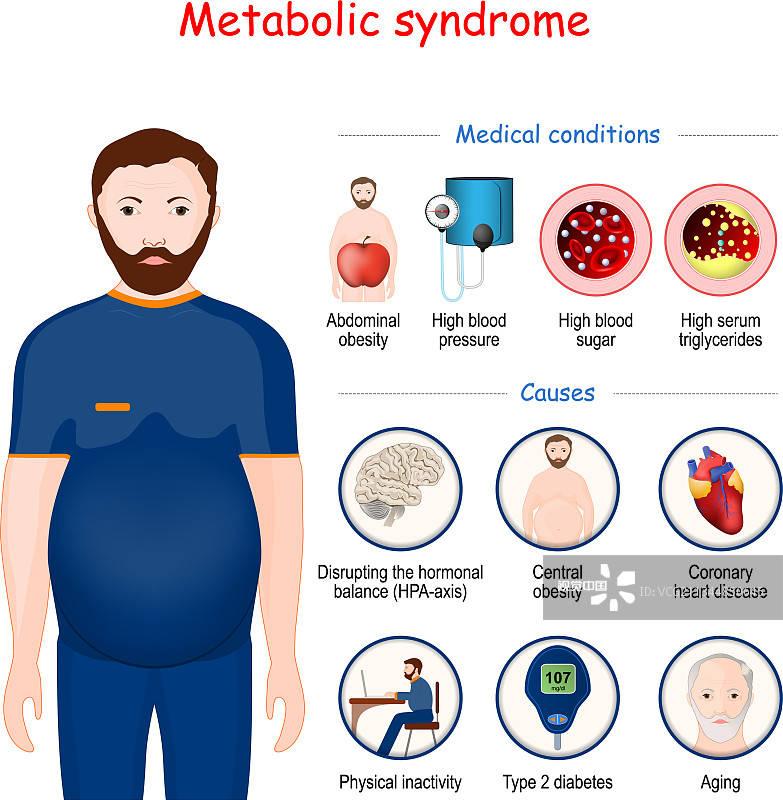 代谢综合征(ms):是人体内的脂肪和碳水化合物等物质出现代谢紊乱的