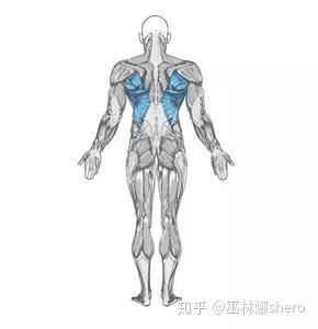 健身|我给自己制定的健身计划（小白扫盲篇） - 知乎