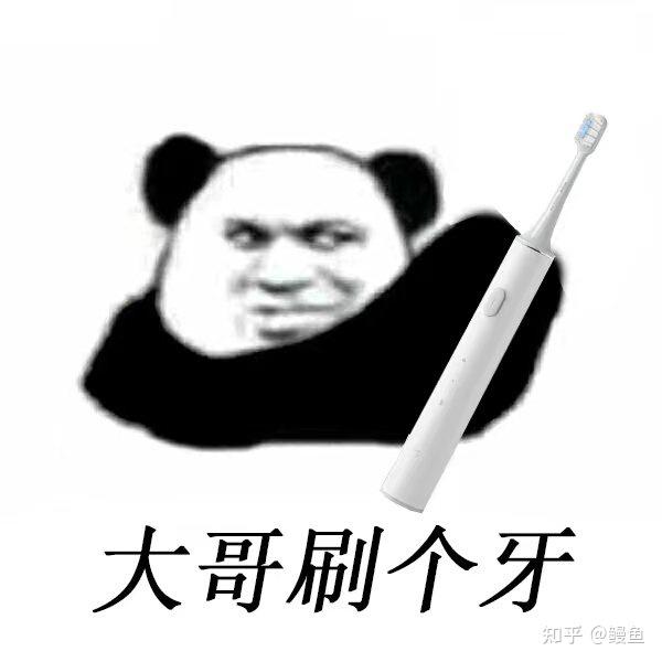 国产之光99 小米电动牙刷