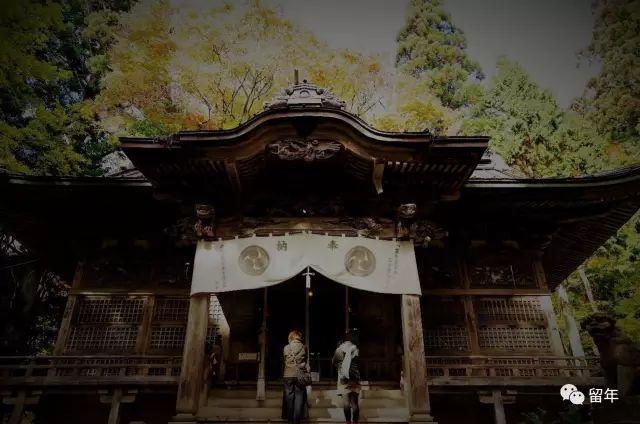 「新年」东京初诣—过一个有仪式感的新年 - 知乎
