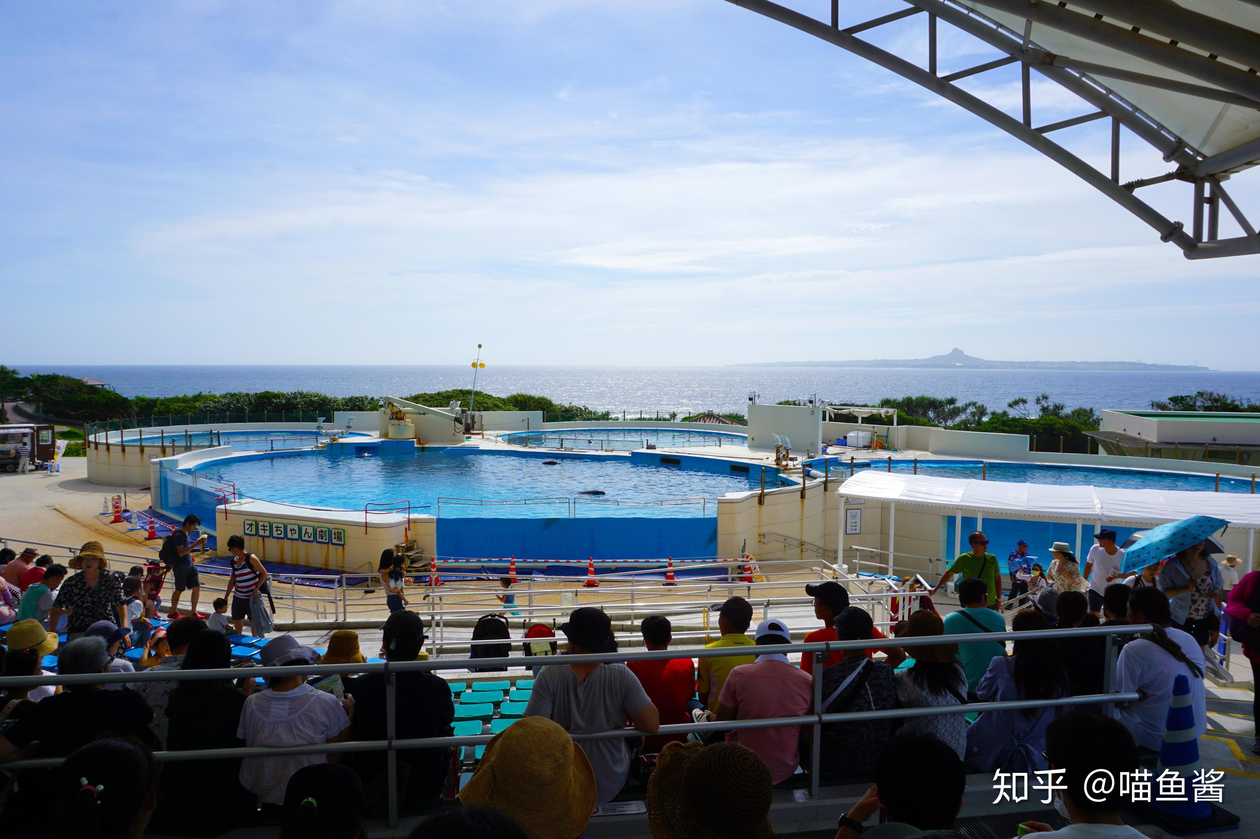 参观冲绳美丽海水族馆有感 - 知乎