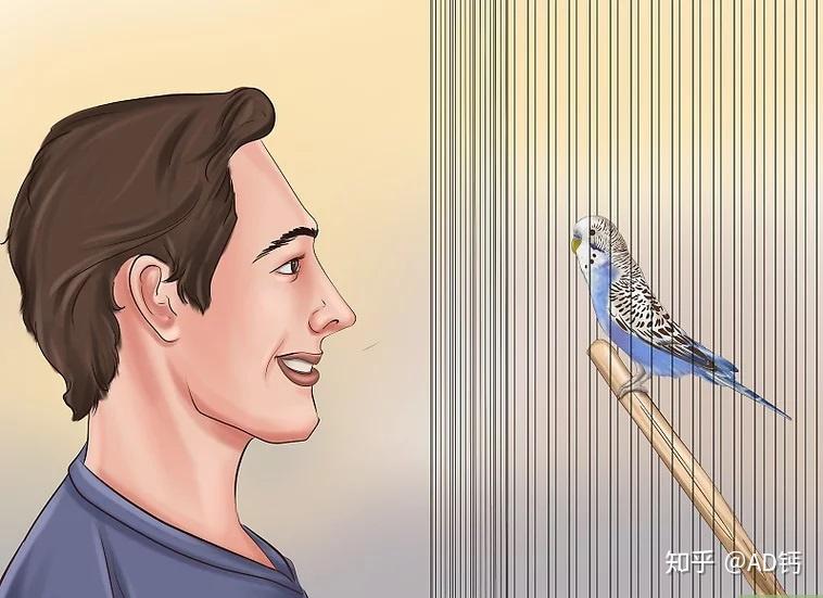 怎么教鹦鹉说话的视频 v2-a6190a0dd0e491c4d8c08e2e1c8fc84f_r.jpg