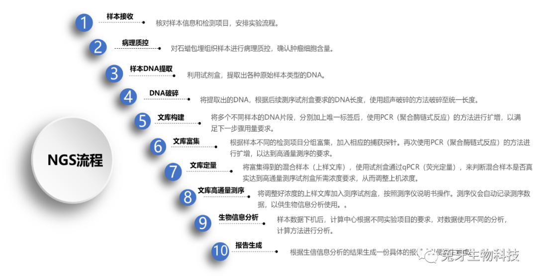 高通量测序ngs应用科普
