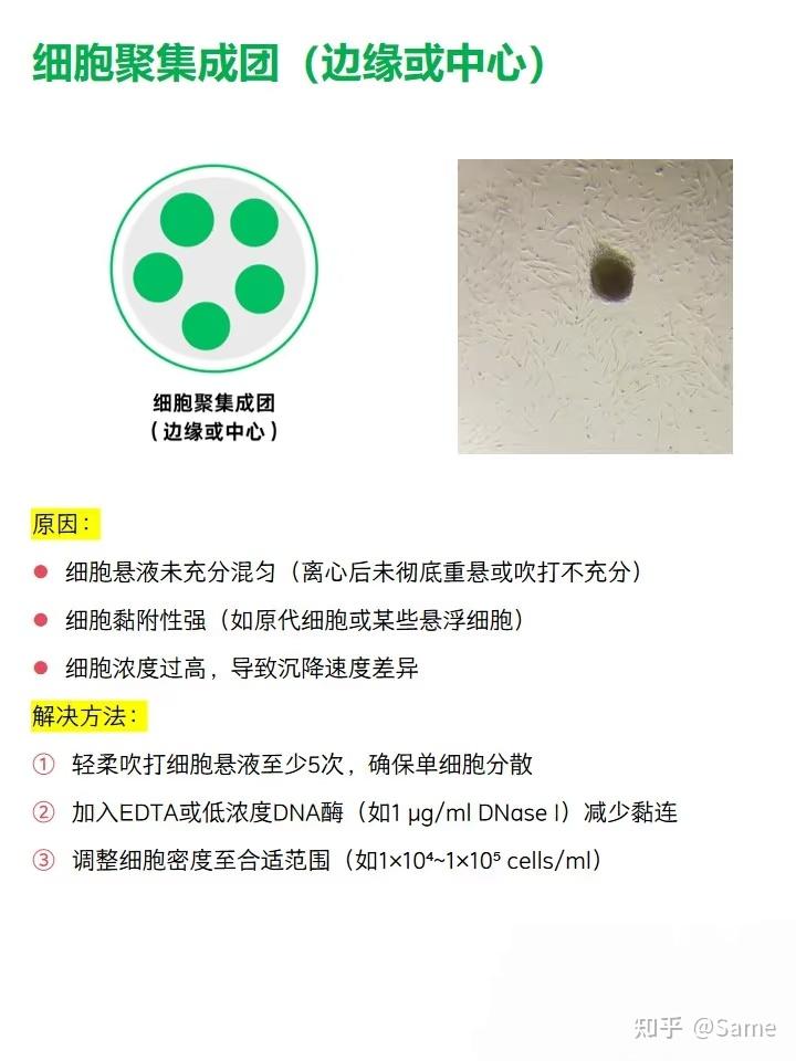 细胞铺板总是不均匀?处理方法指南 - 知乎