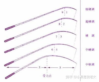 鱼竿入门推荐 新手怎么选鱼竿 适合新手的鱼竿选购指南及品牌推荐 双11更新 知乎