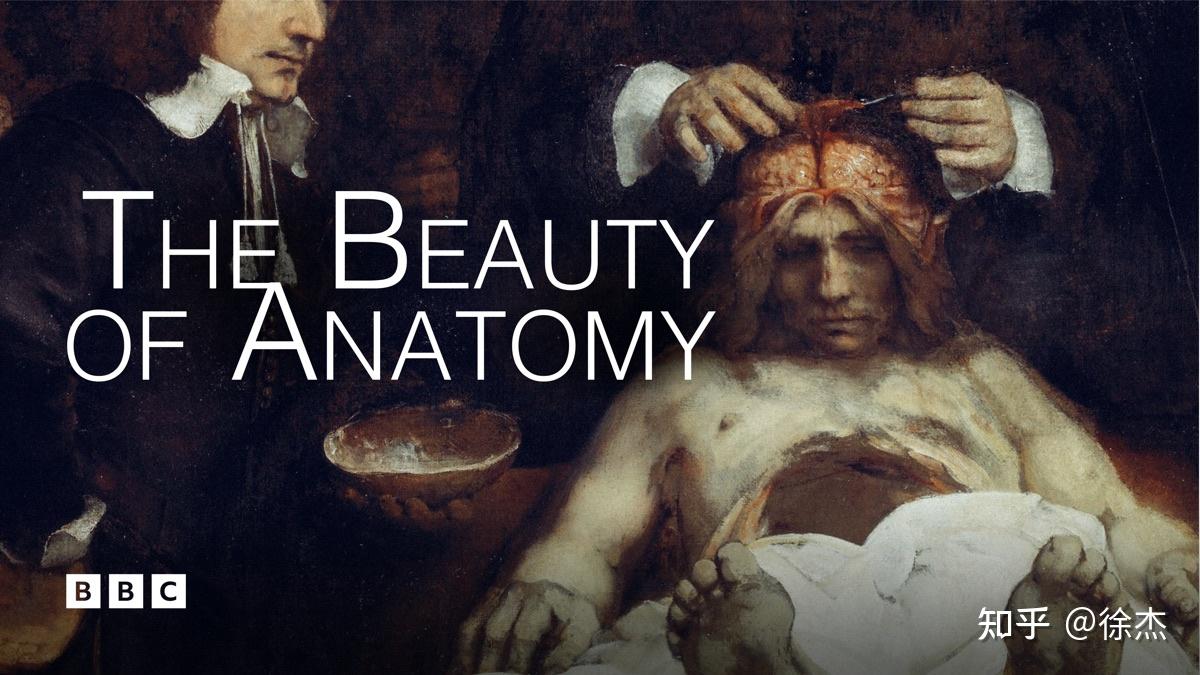 解剖學之美解剖學之美(beauty of anatomy)是bbc製作的五集解剖學紀錄