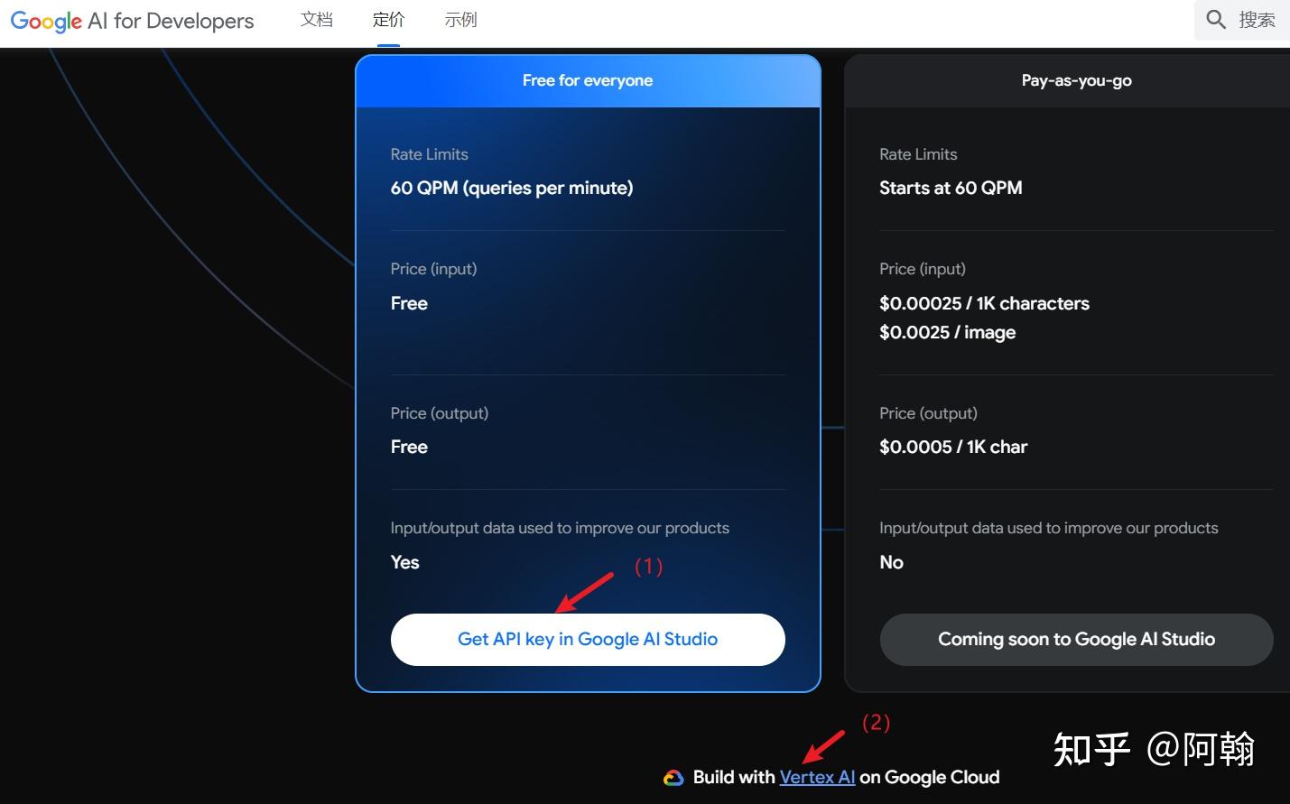 如何通过中文使用Gemini Pro 并获取免费的API key？ - 知乎