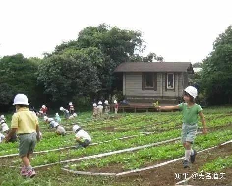 迷你农场攻略