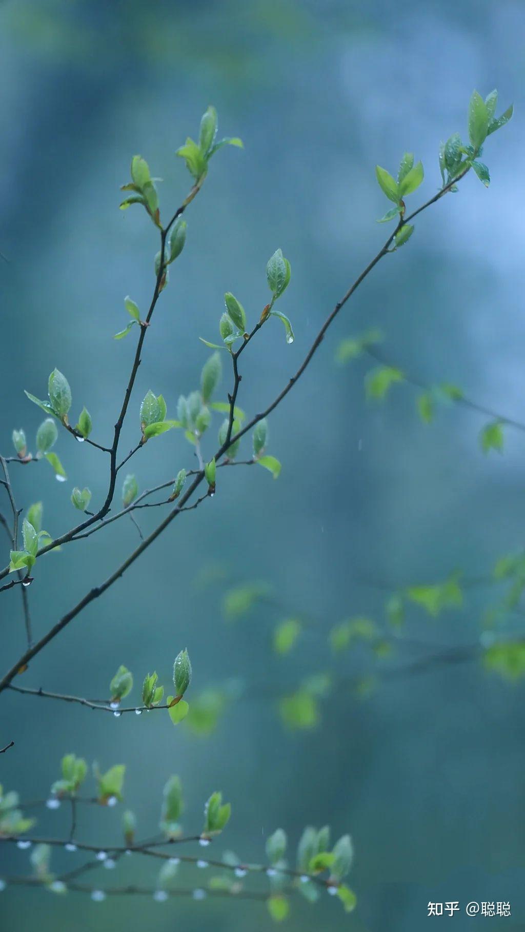 草木蔓发,春山可望 - 知乎