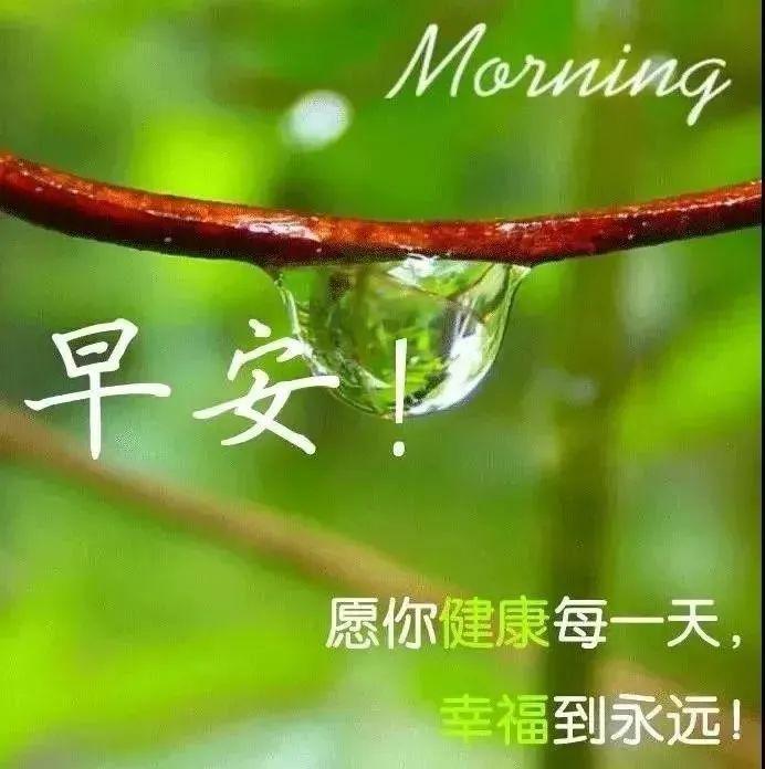 微信群发清晨早上好问候祝福语动态图片最美早晨好问候动态图片表情带