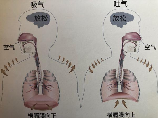 在唱高音的时候如何以气带声 以气带声是什么意思 帮果网