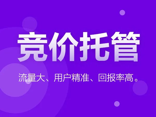 竞拍代销效用好不好_与否须要竞拍代销子公司_chan_(深圳竞拍代营运)
