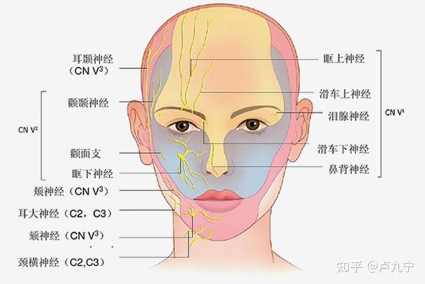 卢九宁医生解答:假体垫眉弓会压迫神经吗?